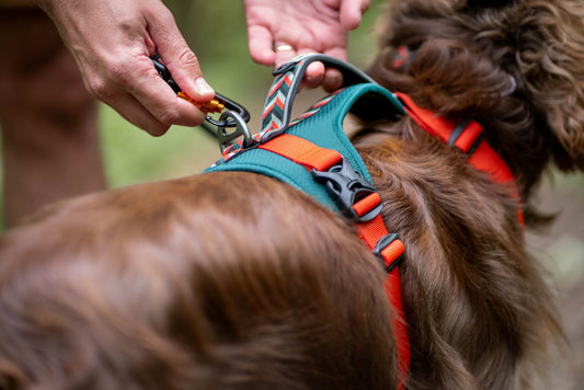 Scafell II Dog Rope Lead