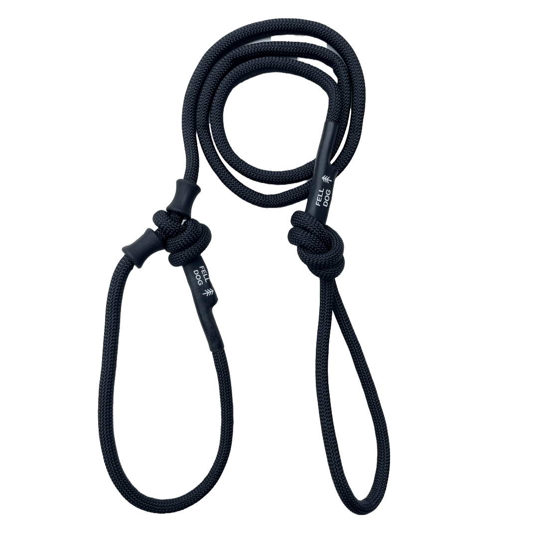 Ambleside Stopper Lead