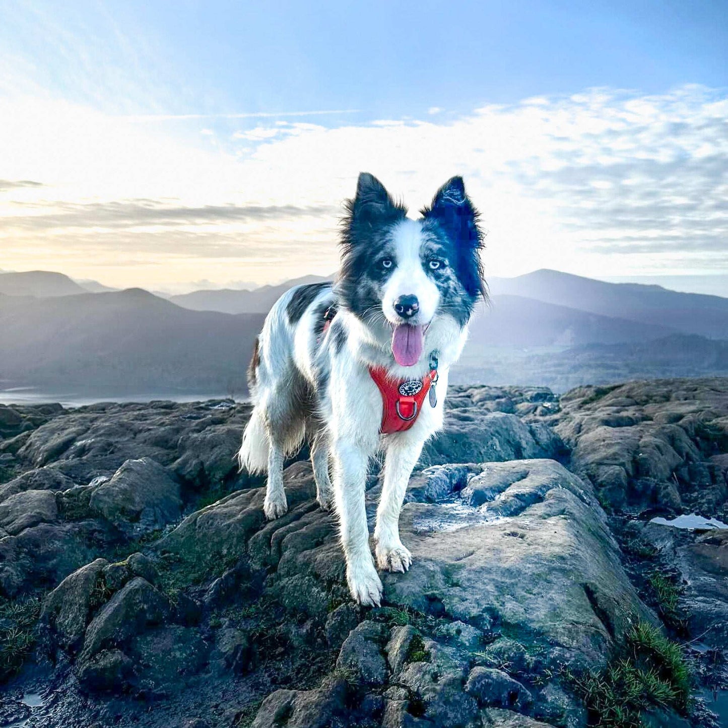 Helvellyn Harness