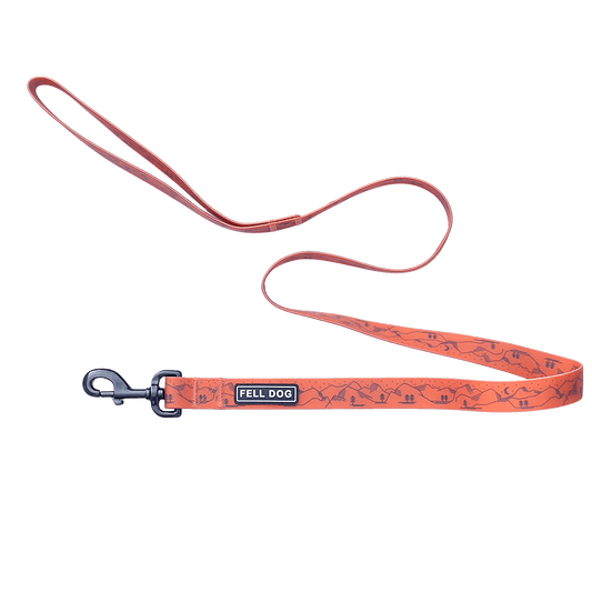 Waterproof dog lead from mountain print by Fell Dog
