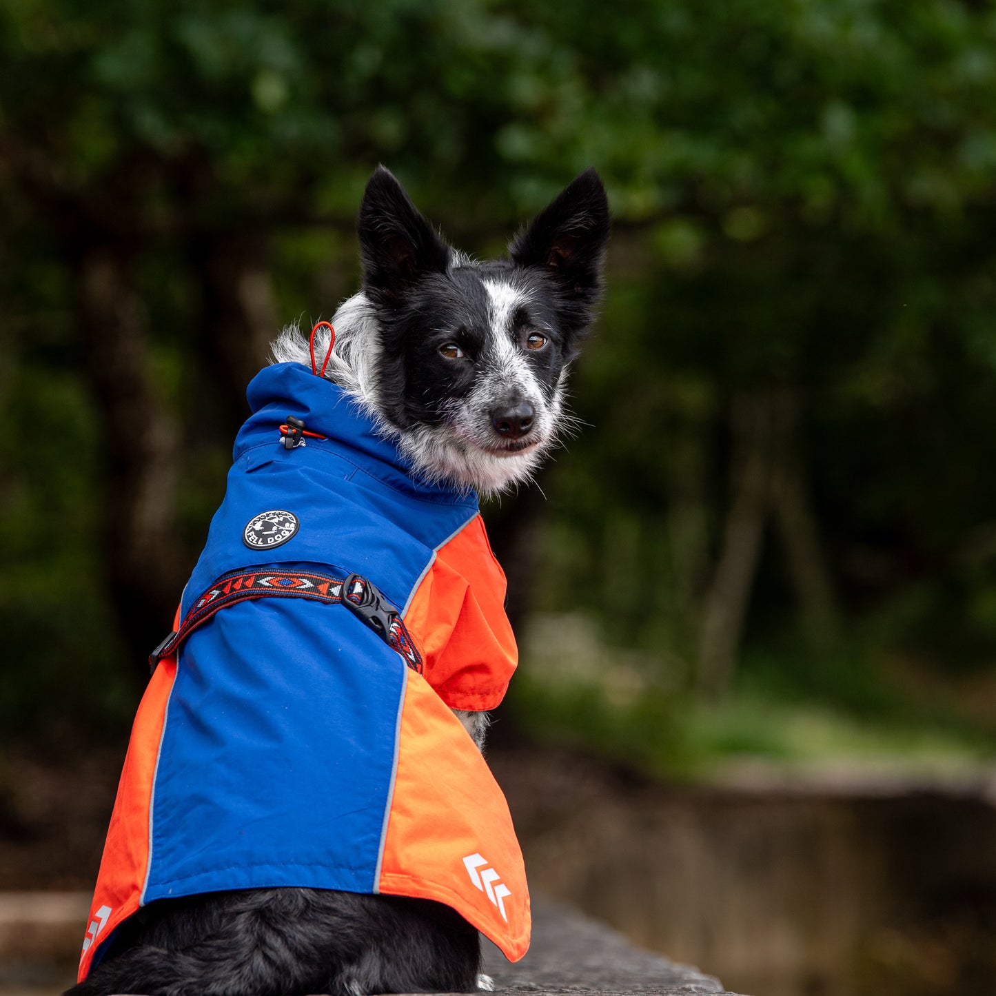 Drench Waterproof Jacket