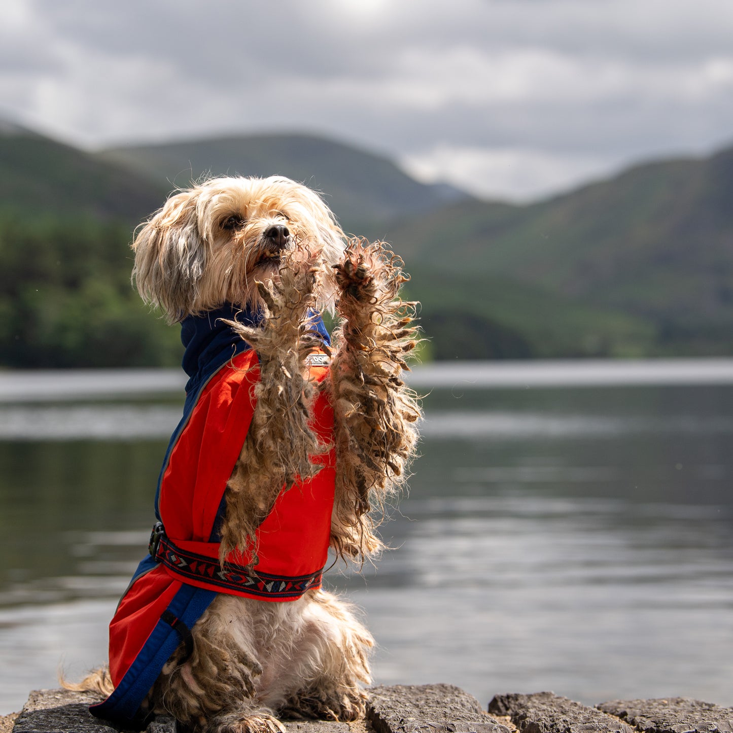 Drench Waterproof Jacket