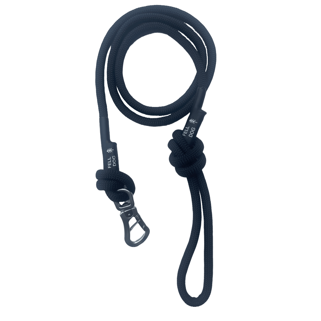 Ridge Rope Lead