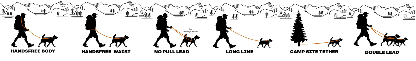 Langdale Multifunctional Lead