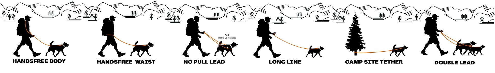 Langdale Multifunctional Lead