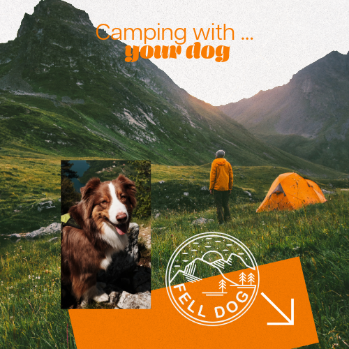 FELL DOG'S GUIDE TO CAMPING WITH YOUR DOG