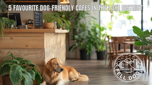 5 of the Best Dog-Friendly Cafés in the Lake District