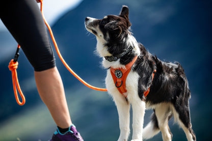 Helvellyn Harness