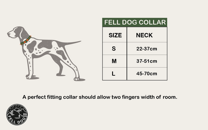Drench Waterproof Dog Collar