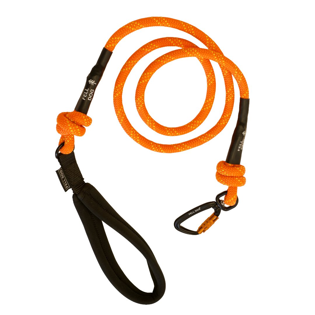 Orange Rope Dog Lead with climbing carabiner hook and fell dog branding