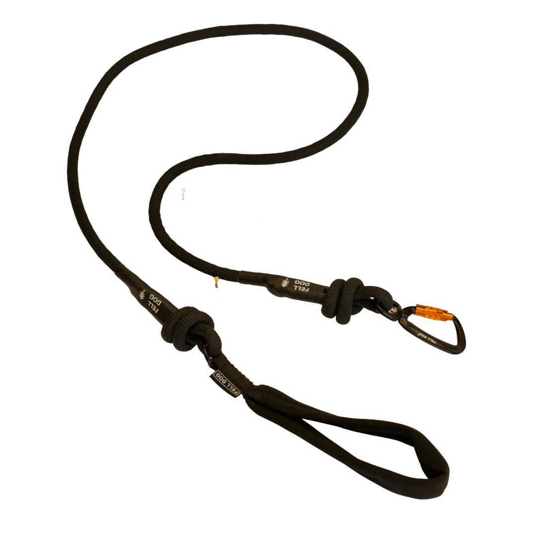 Black rope dog lead with climbing carabiner hook Fell dog branding 