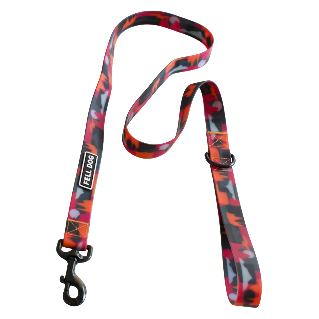 Waterproof dog lead with mountain print by Fell Dog