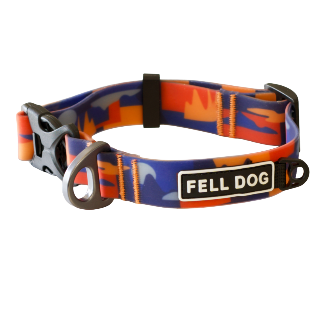 Dog collar with colorful pattern and 'Fell Dog' branding on a white background