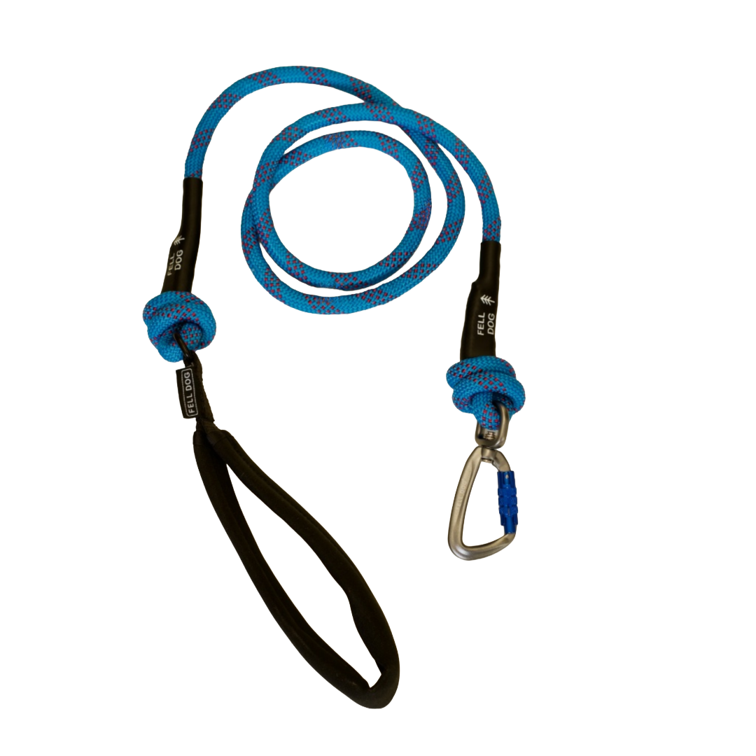 A blue climbing rope with a black loop handle, a blue knot, and a silver carabiner on a white background fell dog branding