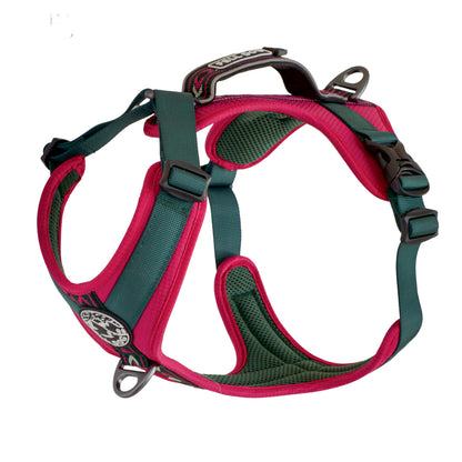 Fell Dog harness in berry & forest 