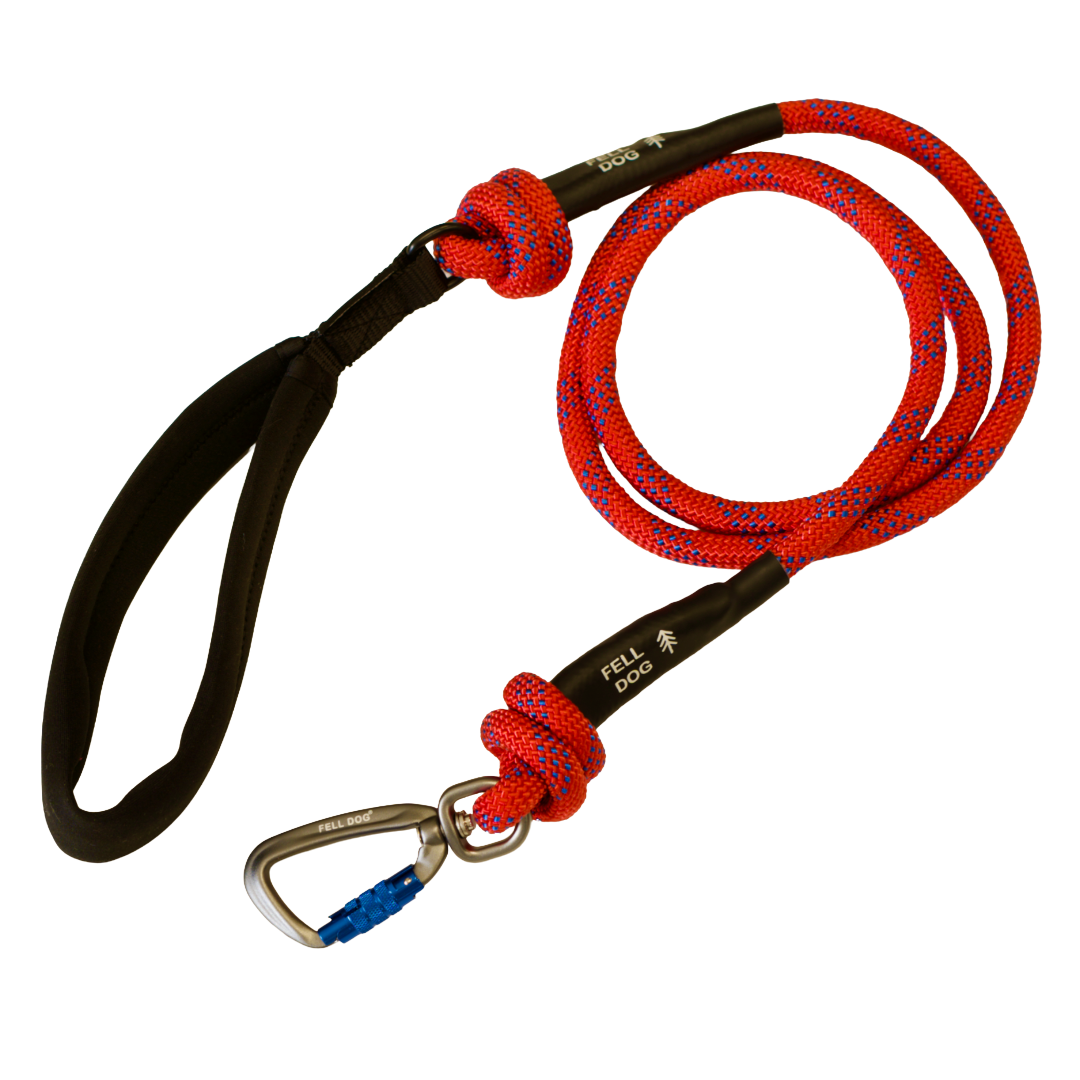 Dog lead made from climbing rope in red with carabiner hook and fell dog branding
