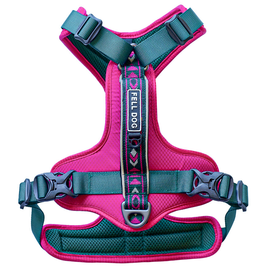 Fell Dog Harness in Berry with forest straps and grab handle