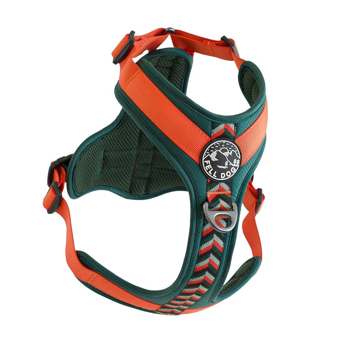 Fell Dog Nevis harness for hiking with dog