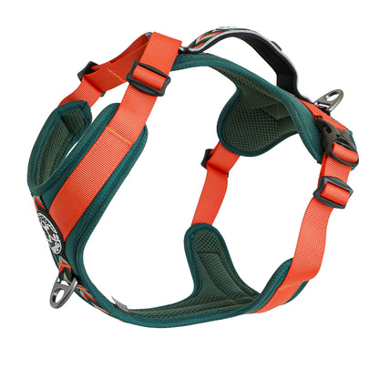 Fell Dog Nevis harness for adventures 